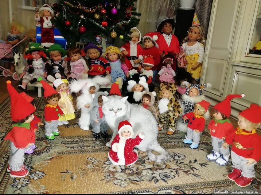 Кошки и куклы — В мире животных: смешные фото питомцев и зверей