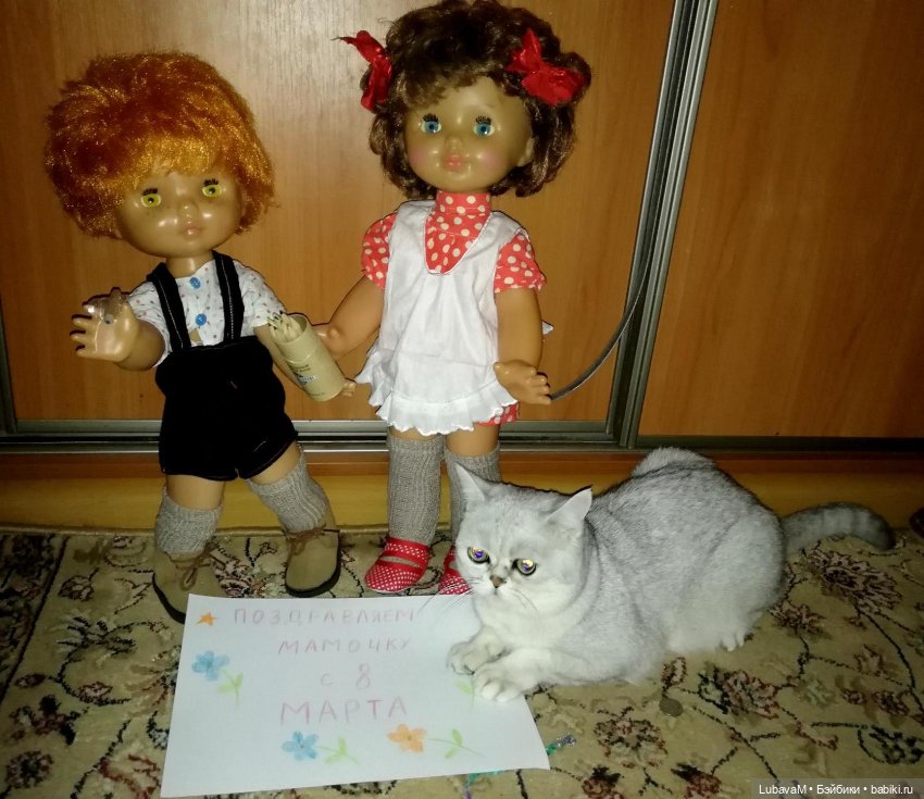 Кошки и куклы — В мире животных: смешные фото питомцев и зверей
