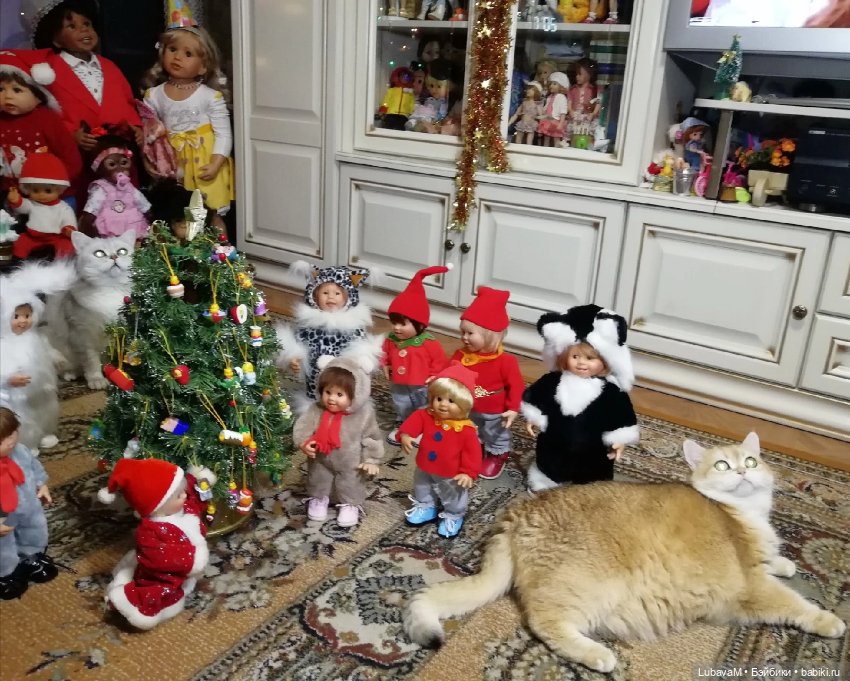 Кошки и куклы — В мире животных: смешные фото питомцев и зверей