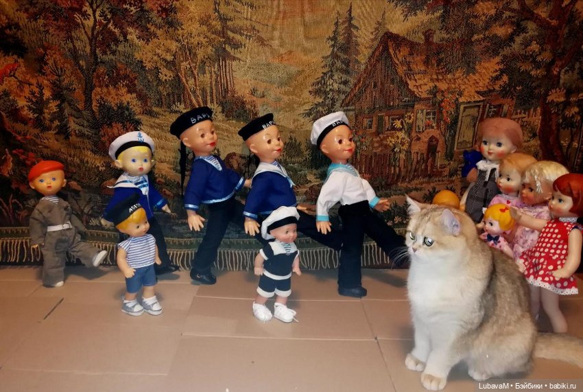 Кошки и куклы — В мире животных: смешные фото питомцев и зверей