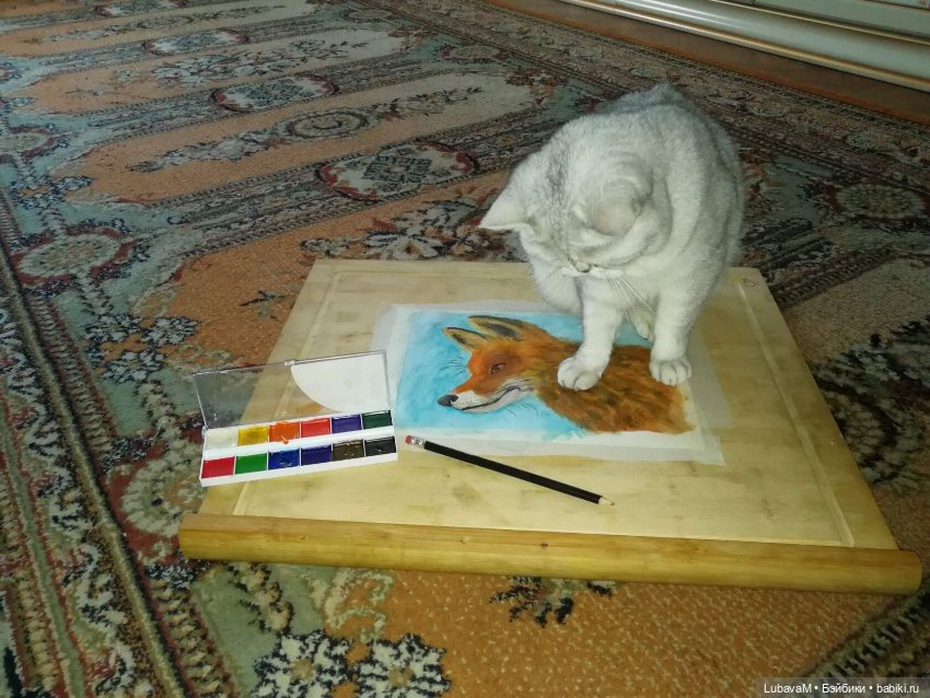 Кошки и куклы — В мире животных: смешные фото питомцев и зверей