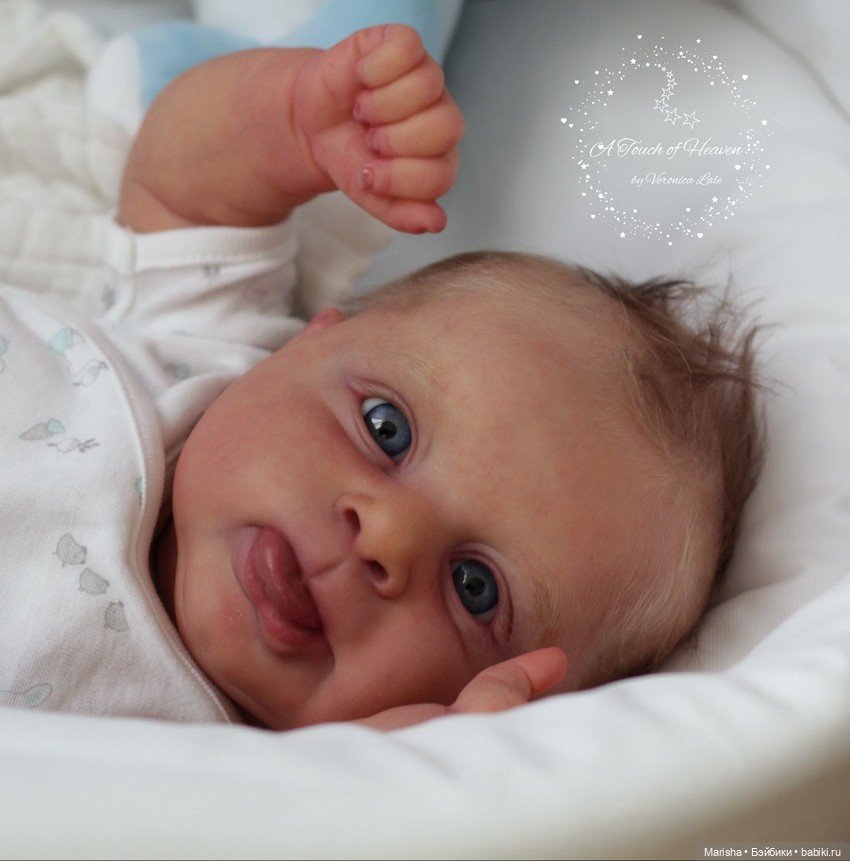 Sebby скульптора Cassie Ann Brace, автор прототипа Veronica Lale (фото 10)