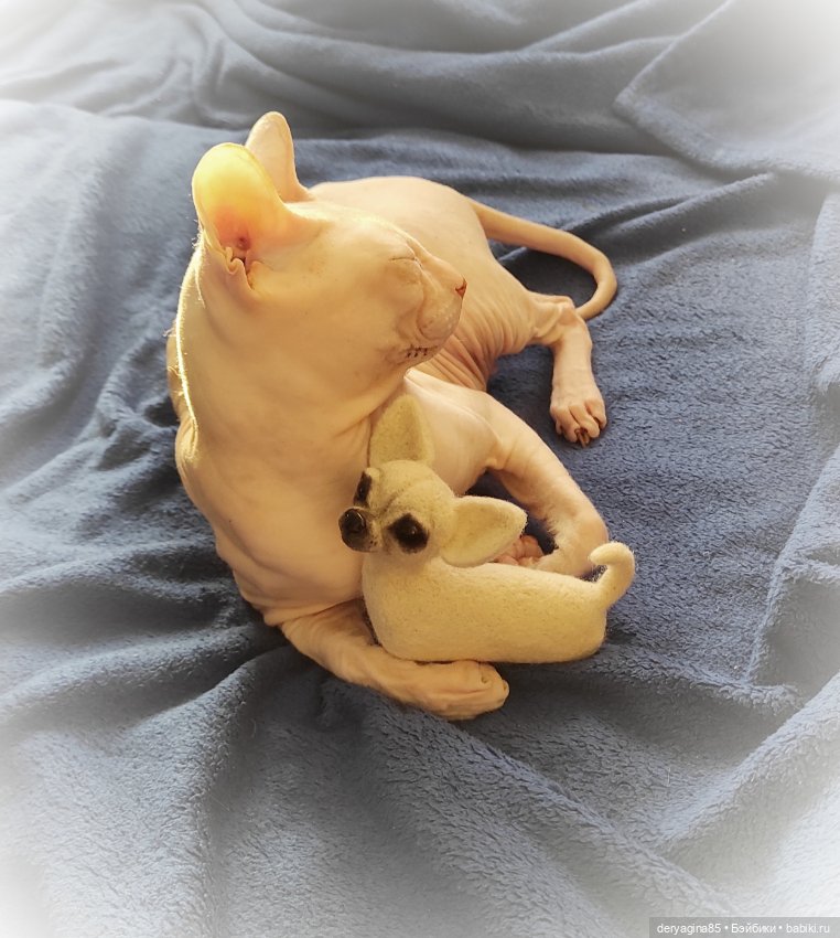 Чихуахуа в процессе — Валяные игрушки из шерсти: сухое валяние