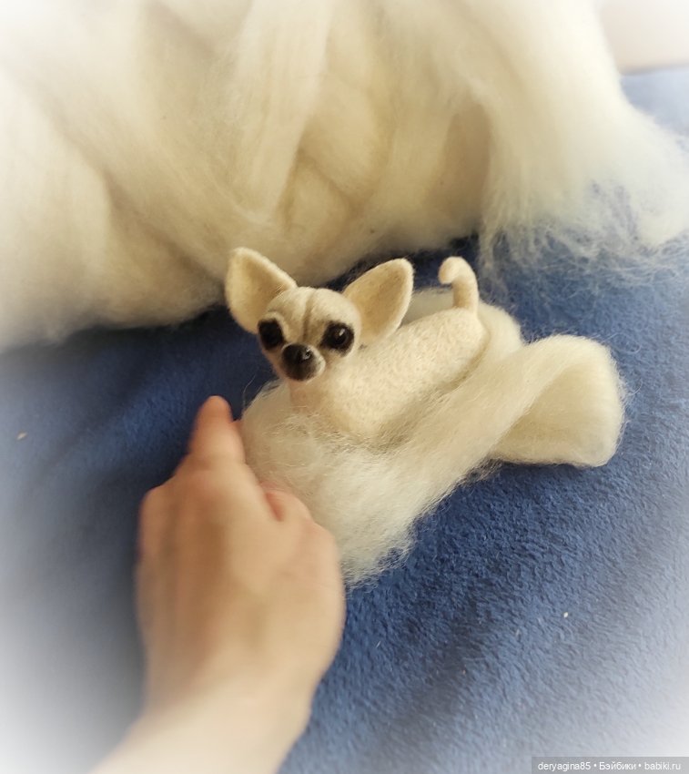 Чихуахуа в процессе — Валяные игрушки из шерсти: сухое валяние (фото 2)