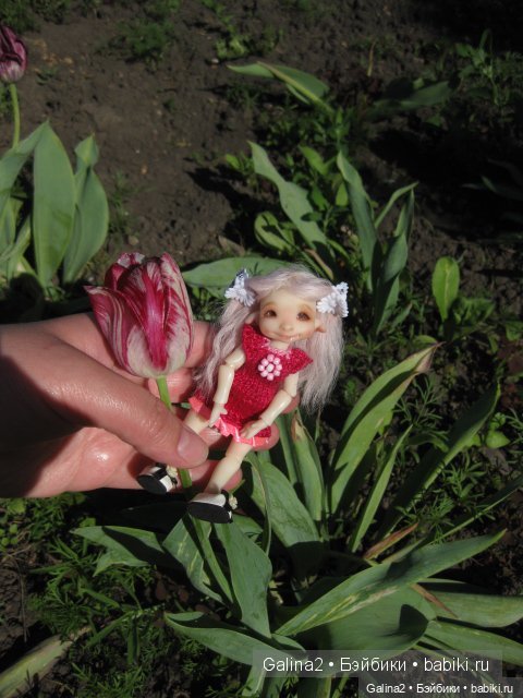 Моя лапочка Сьюзи (Suzy от Nefer Kane)