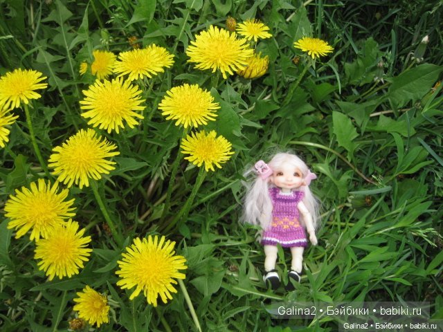 Моя лапочка Сьюзи (Suzy от Nefer Kane)