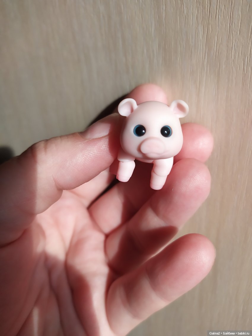 Приехала наша любимая хрюша Нюша (Pumpkin Smile) (фото 10)