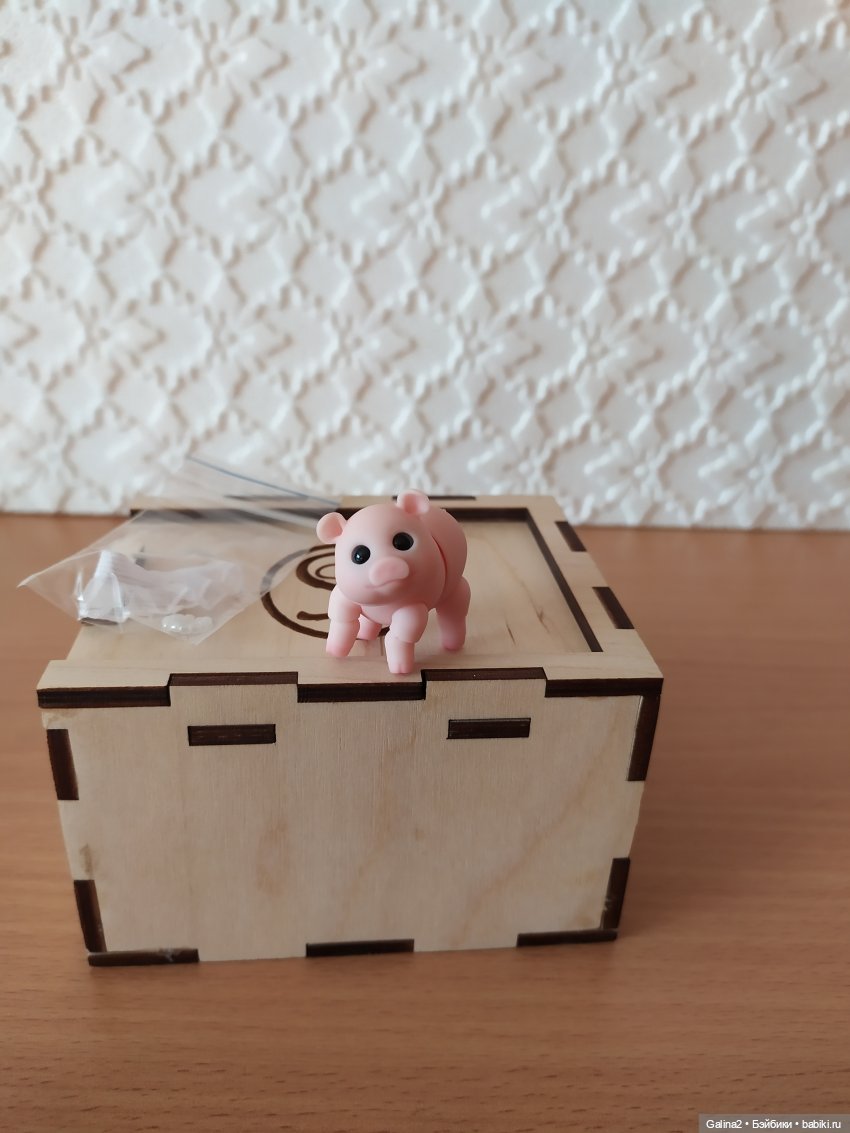 Приехала наша любимая хрюша Нюша (Pumpkin Smile) (фото 5)