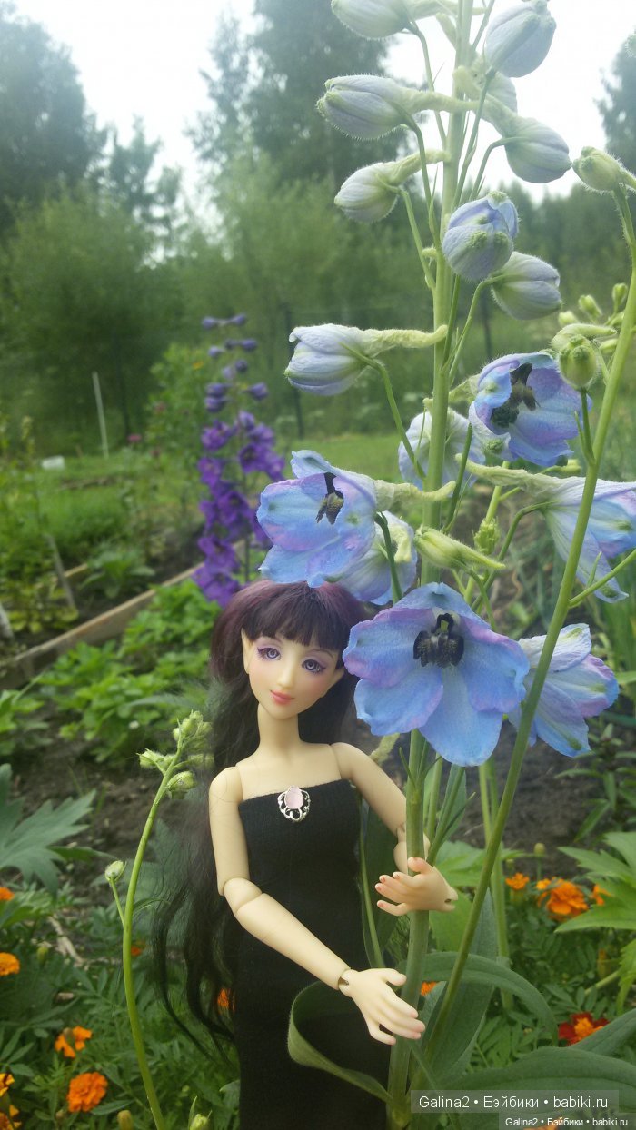 Куколка от SisterFox — Авторские куклы BJD (БЖД) у нас дома: фото (фото 3)