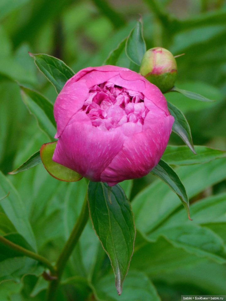 Куклы возвращаются — Куклы Helen Kish (Хелен Киш): Riley (Райли) (фото 9)