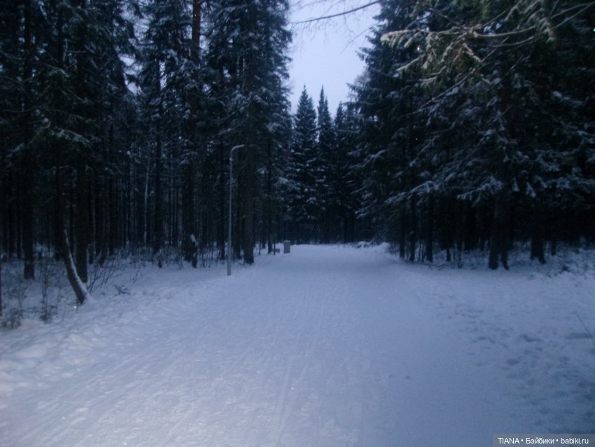 Надо гулять — Куклы Baboliy (Баболи