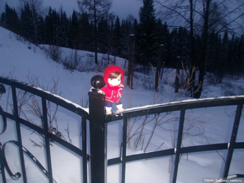 Надо гулять — Куклы Baboliy (Баболи (фото 6)