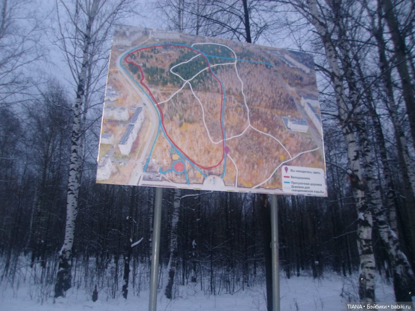 Надо гулять — Куклы Baboliy (Баболи