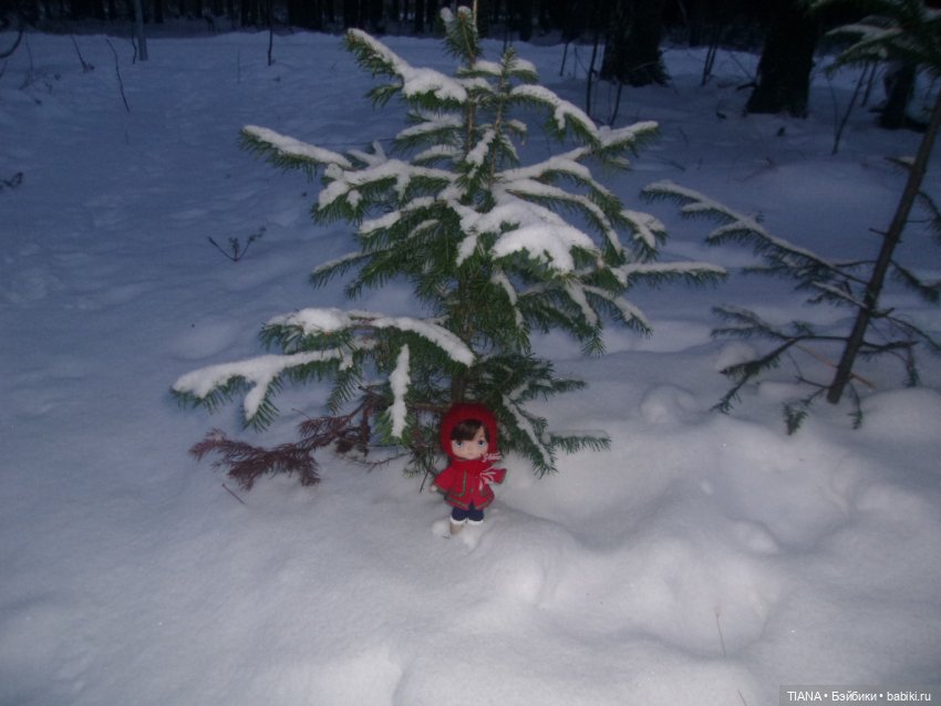 Надо гулять — Куклы Baboliy (Баболи