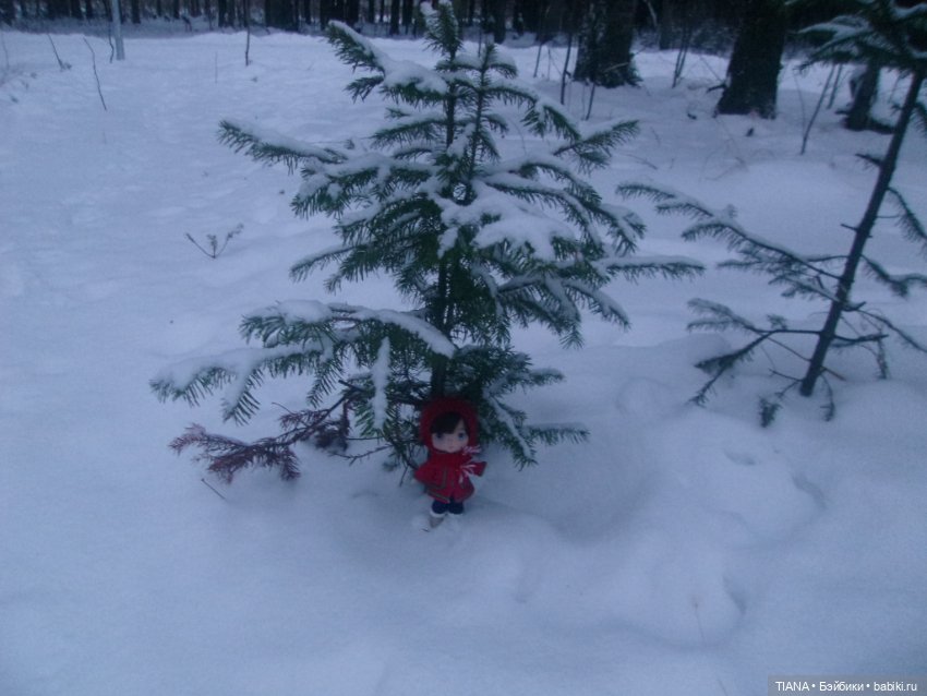 Надо гулять — Куклы Baboliy (Баболи
