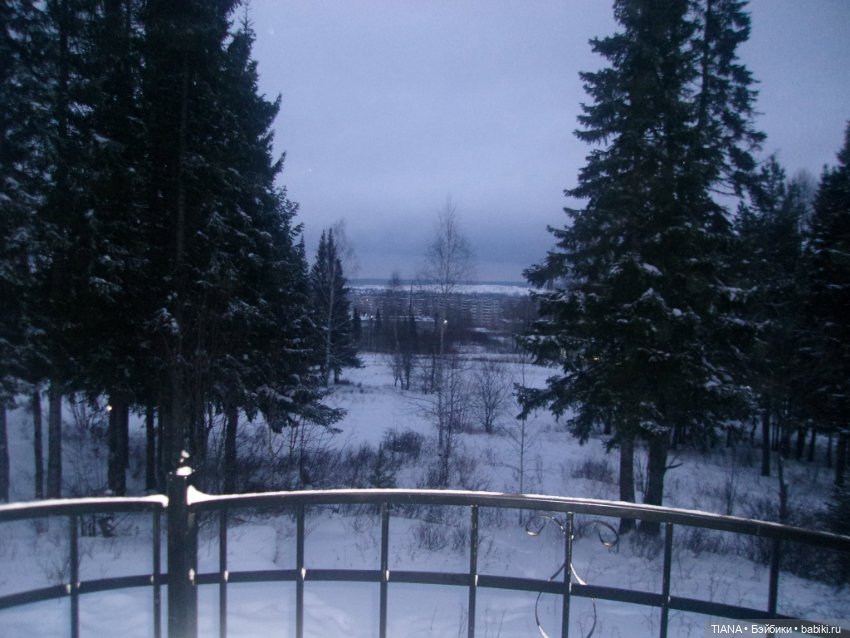 Надо гулять — Куклы Baboliy (Баболи (фото 5)