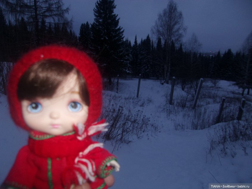 Надо гулять — Куклы Baboliy (Баболи (фото 8)