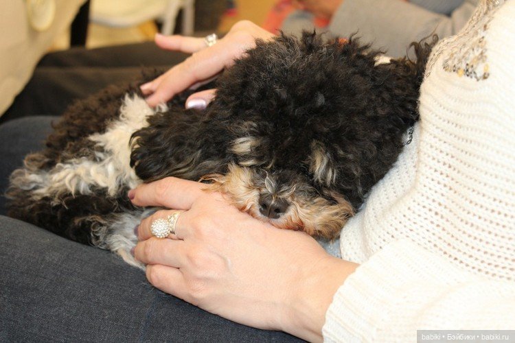 Пасхальная встреча в магазине кукол! Часть 3