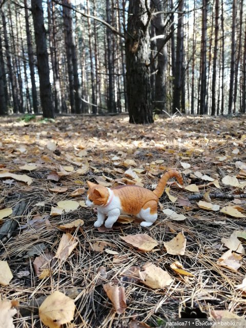 Тилина в лесу — Куклы Magic Baby (Lamagik): характерные