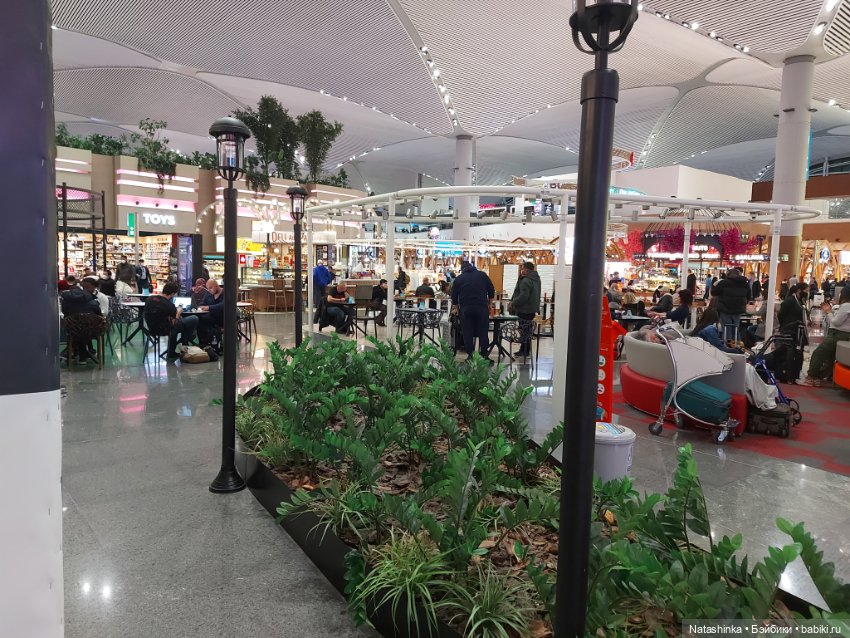 Fashion Dolls 331 — Туризм и путешествия: фотоотчеты из поездок (фото 2)