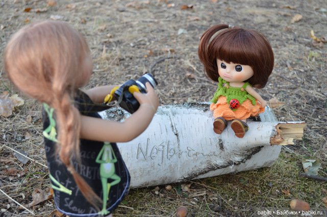 И панды хотят летать. Muichan от ixdoll