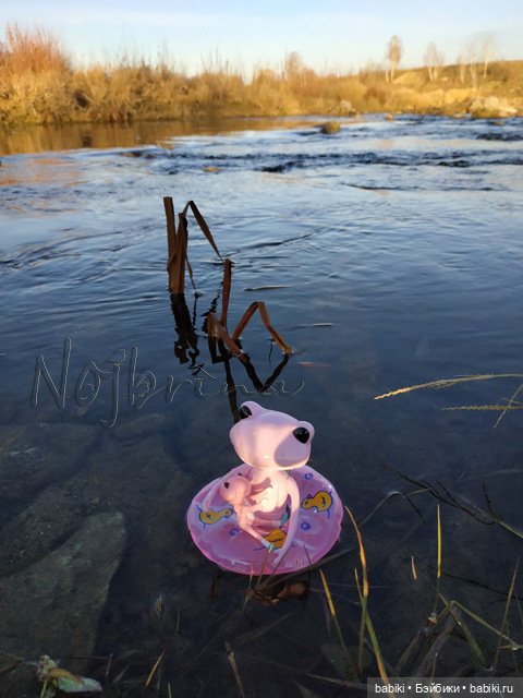 Мои лягушки от Wonderfrog (фото 5)