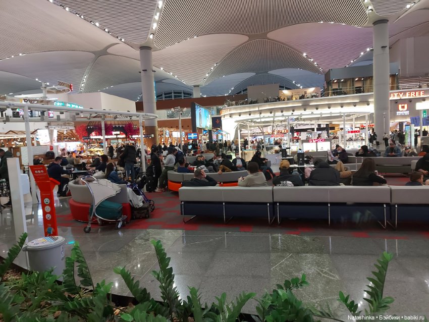 Fashion Dolls 331 — Туризм и путешествия: фотоотчеты из поездок