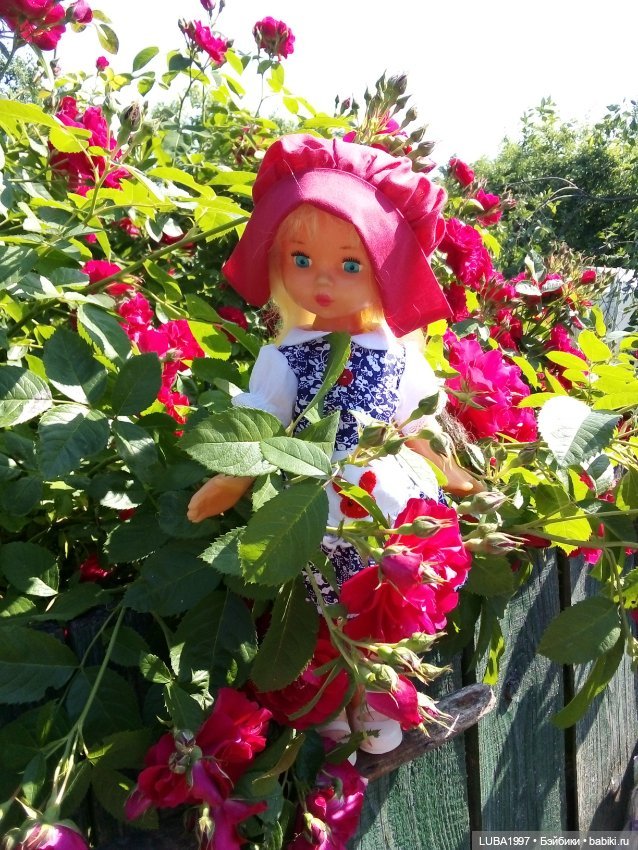 Продолжение. Лето... цветы... мои Ленигрушки (фото 10)
