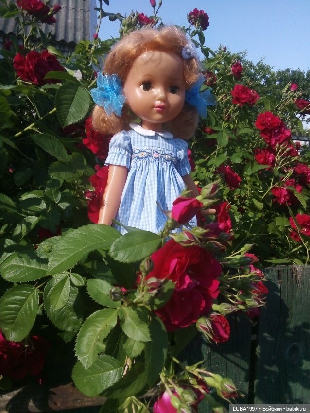 Лето... розы и мои Ленигрушки (фото 10)