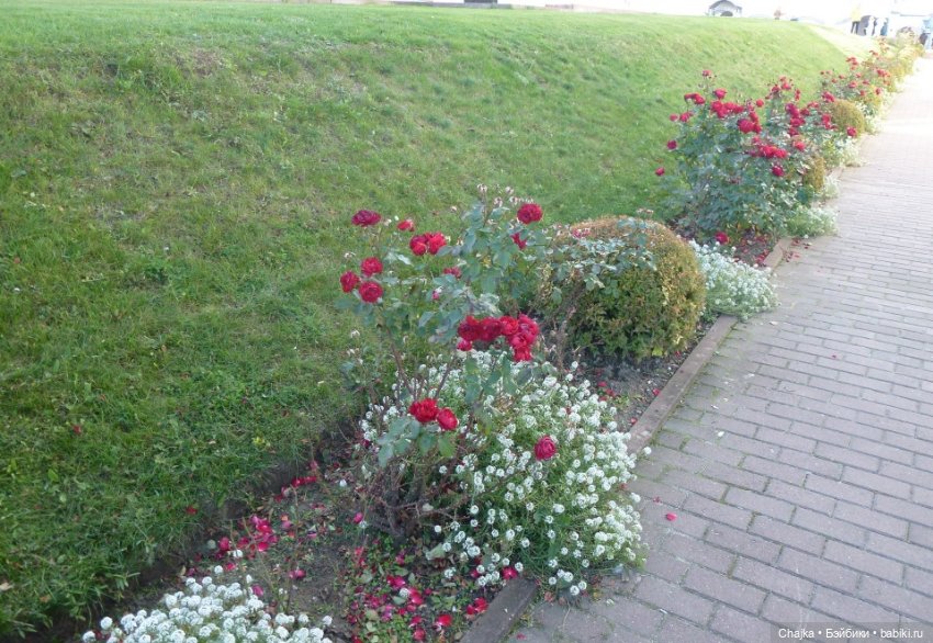 Путешествие в город Муром