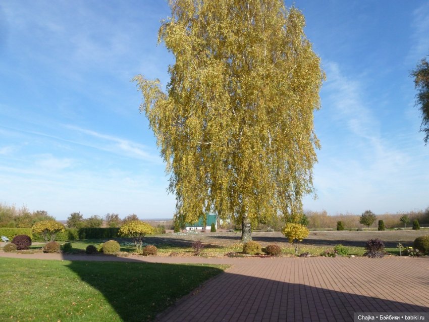 Путешествие в город Муром (фото 9)