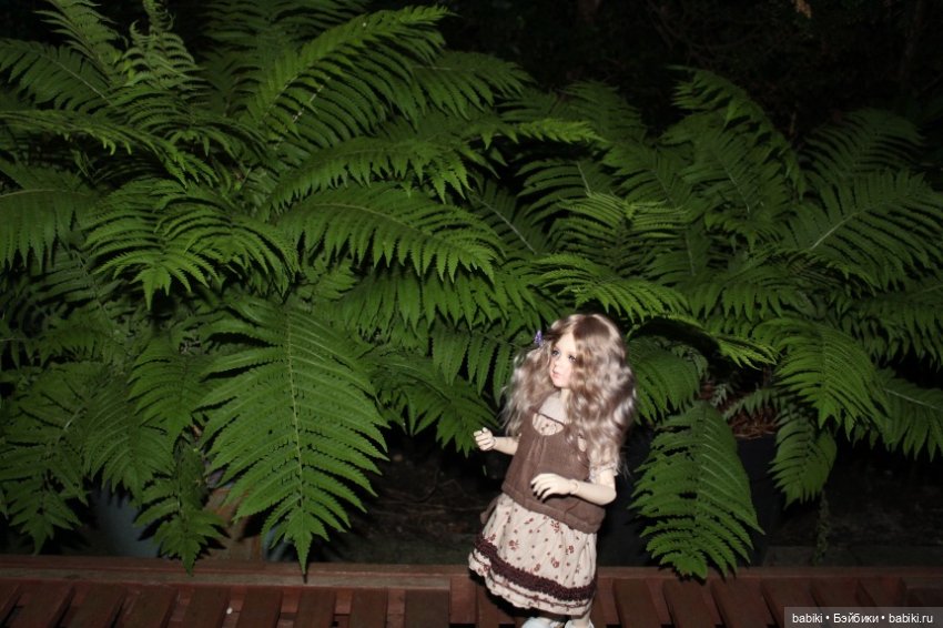 Розочка в вечернем саду или в поисках светлячков (фото 8)