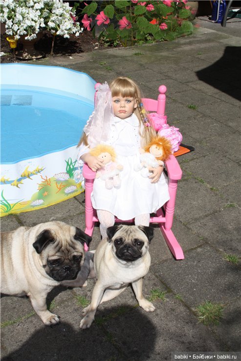 Как отдыхали две подружки жарким летним днем