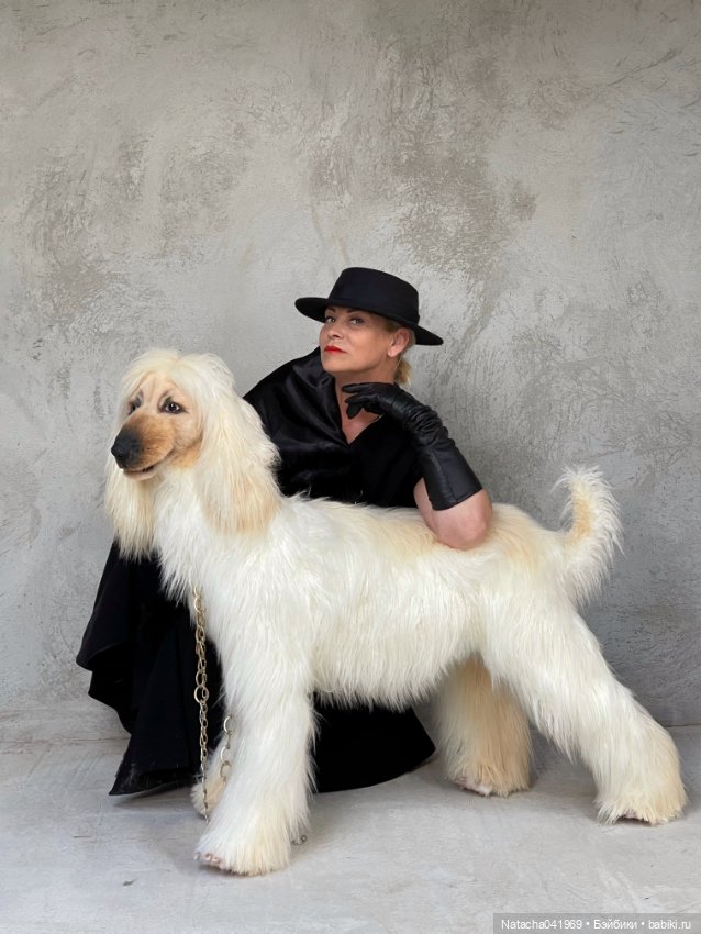 Дорогие мои друзья! Давайте знакомится вновь. Работы Наташи Бабенко