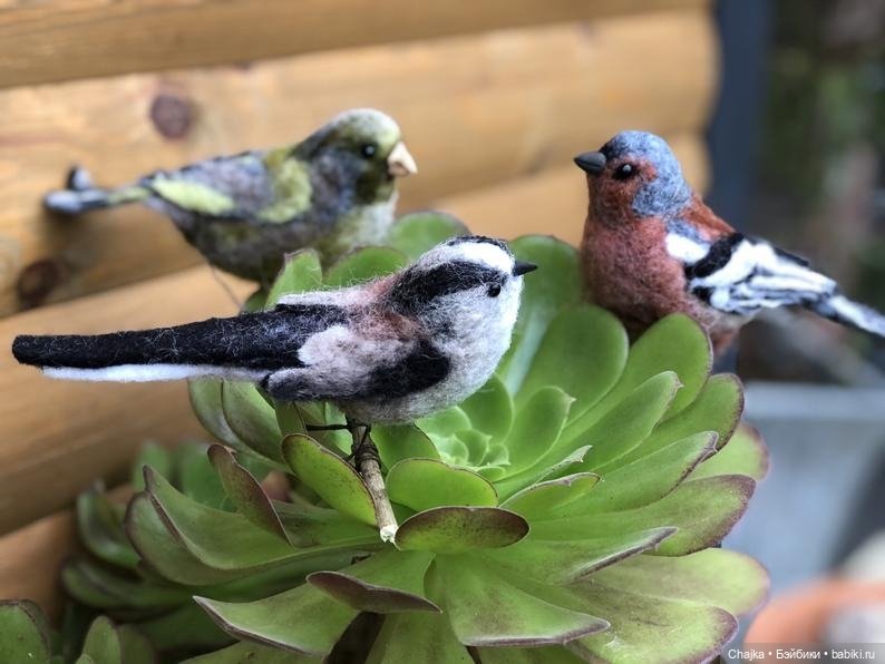 Авторские войлочные скульптуры by Amy Grimsby (Эми Гримсби)