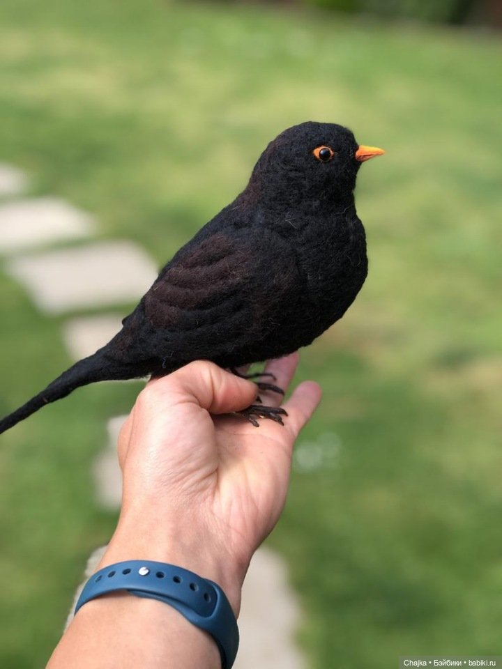 Авторские войлочные скульптуры by Amy Grimsby (Эми Гримсби)