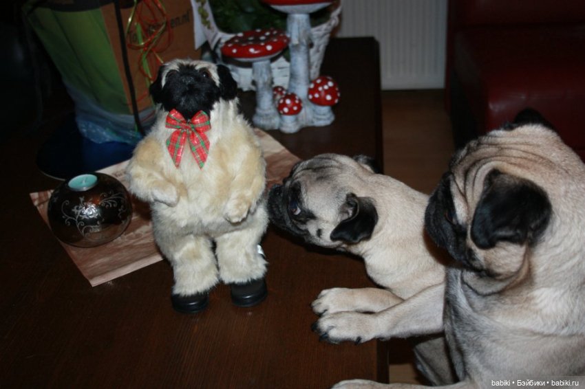 Мой подарочек на День Рождения! Долгожданная Lilith от Annette Himstedt (фото 4)