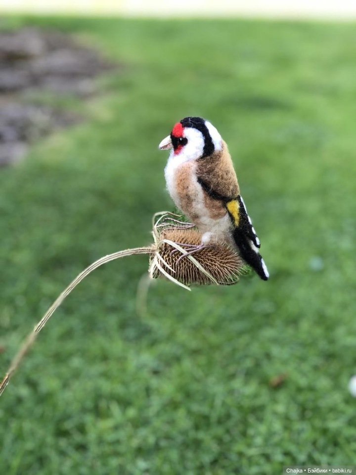 Авторские войлочные скульптуры by Amy Grimsby (Эми Гримсби)