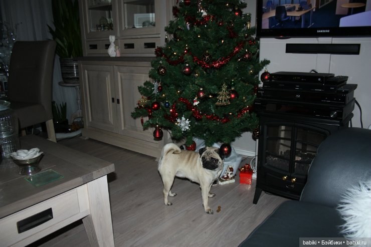 А у нас сегодня Рождество! Куколы Hildegard Gunzel под елкой (фото 2)