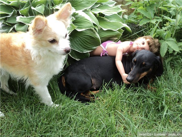 Один день из жизни малышек