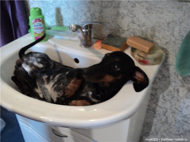 Как мы ловили сон — Одежда и обувь для кукол своими руками: фото (фото 8)