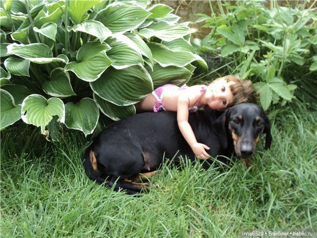 Один день из жизни малышек (фото 9)