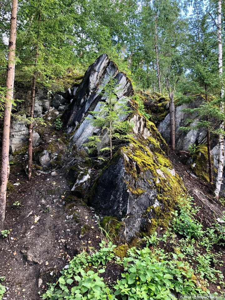 Путешествие в Карелию и Выборг