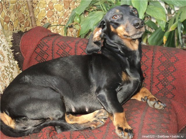 Как мы ловили сон — Одежда и обувь для кукол своими руками: фото (фото 9)