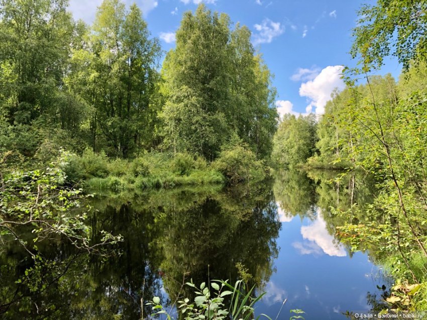 Путешествие в Карелию и Выборг