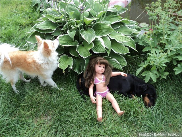 Один день из жизни малышек