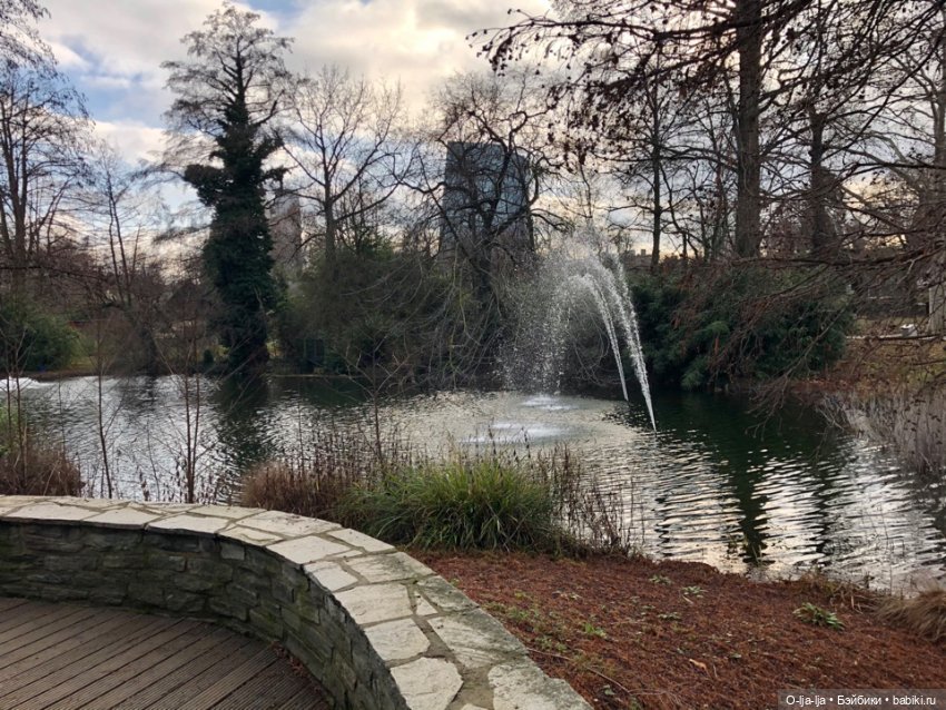 Новогоднее путешествие Санни в Германию