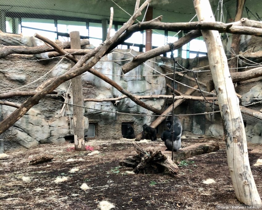 Новогоднее путешествие Санни в Германию (фото 8)