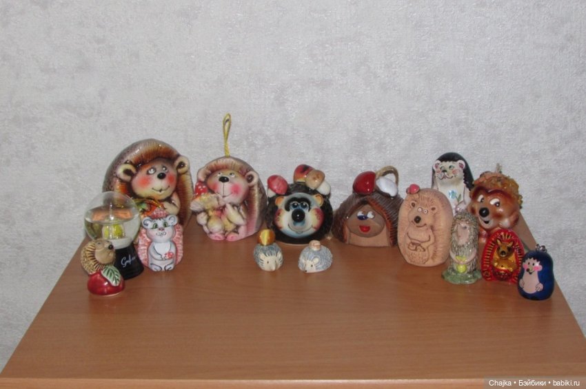 Мой новый Ёжик по имени Колобок и его большая дружная семья (фото 6)