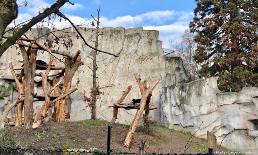 Новогоднее путешествие Санни в Германию (фото 10)